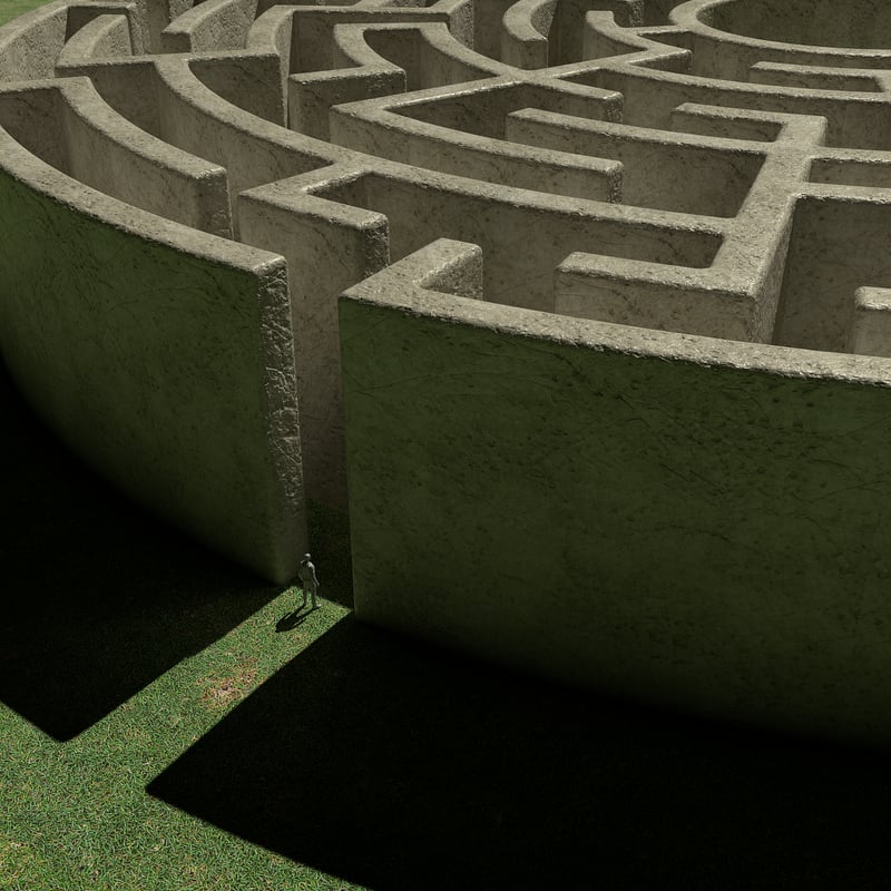 The Maze - The Maze Runner